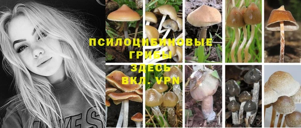 Альфа ПВП Белокуриха