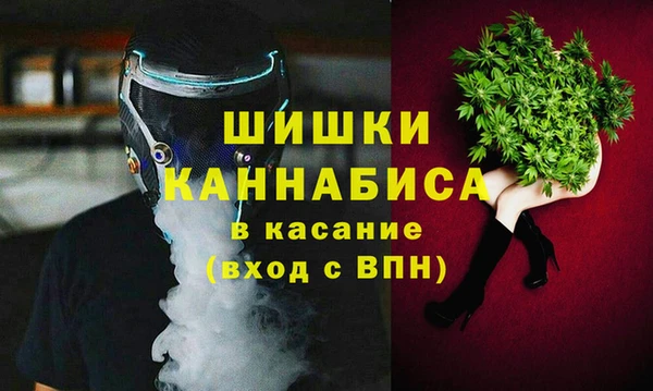 Альфа ПВП Белокуриха