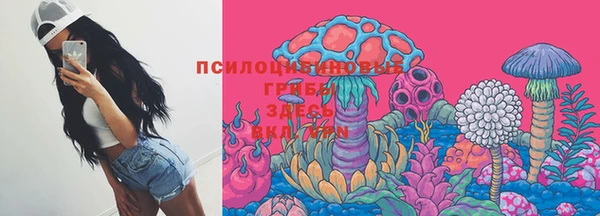 сатива Богородицк